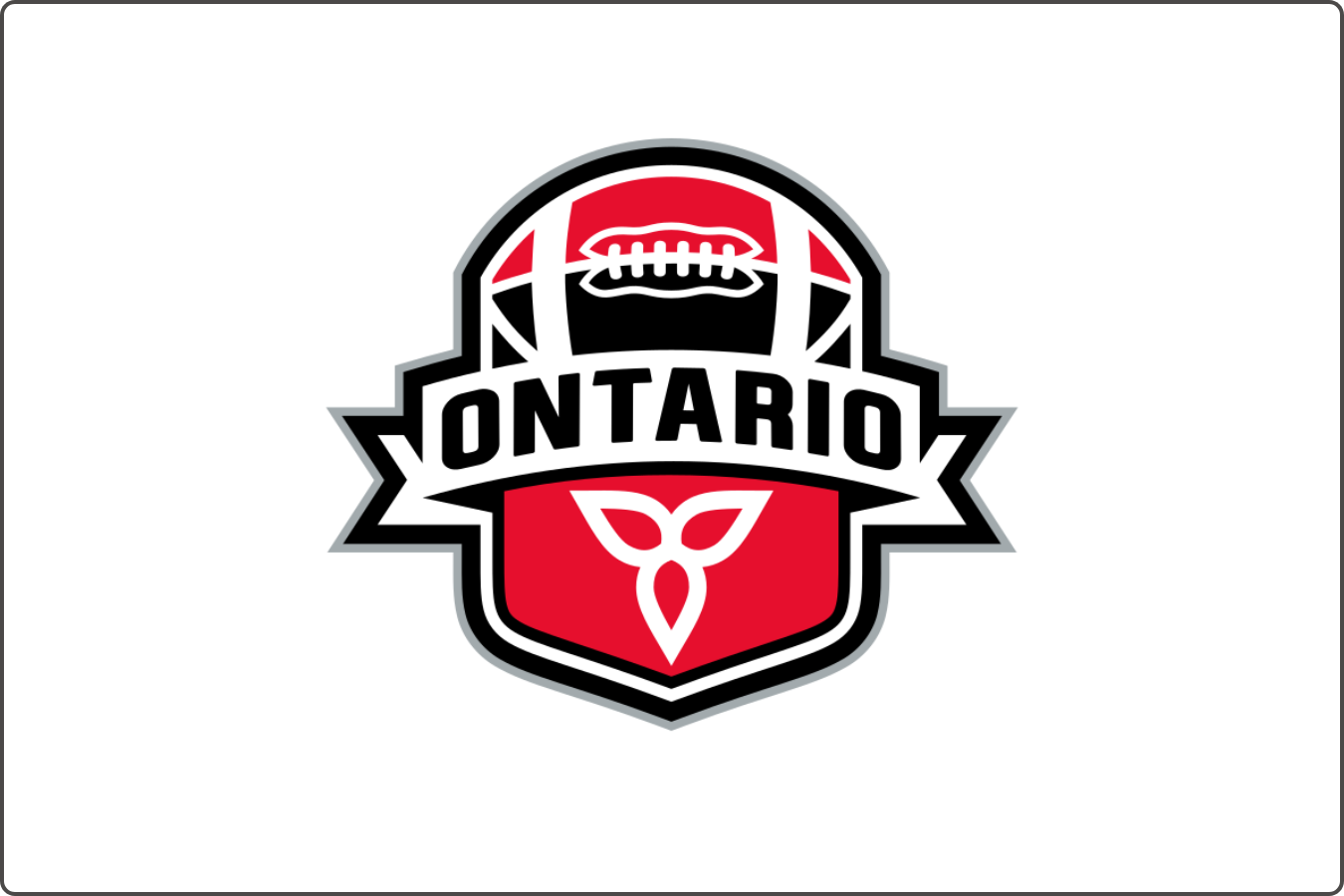 Canadian Blind Hockey - Hockey Sonore Canada